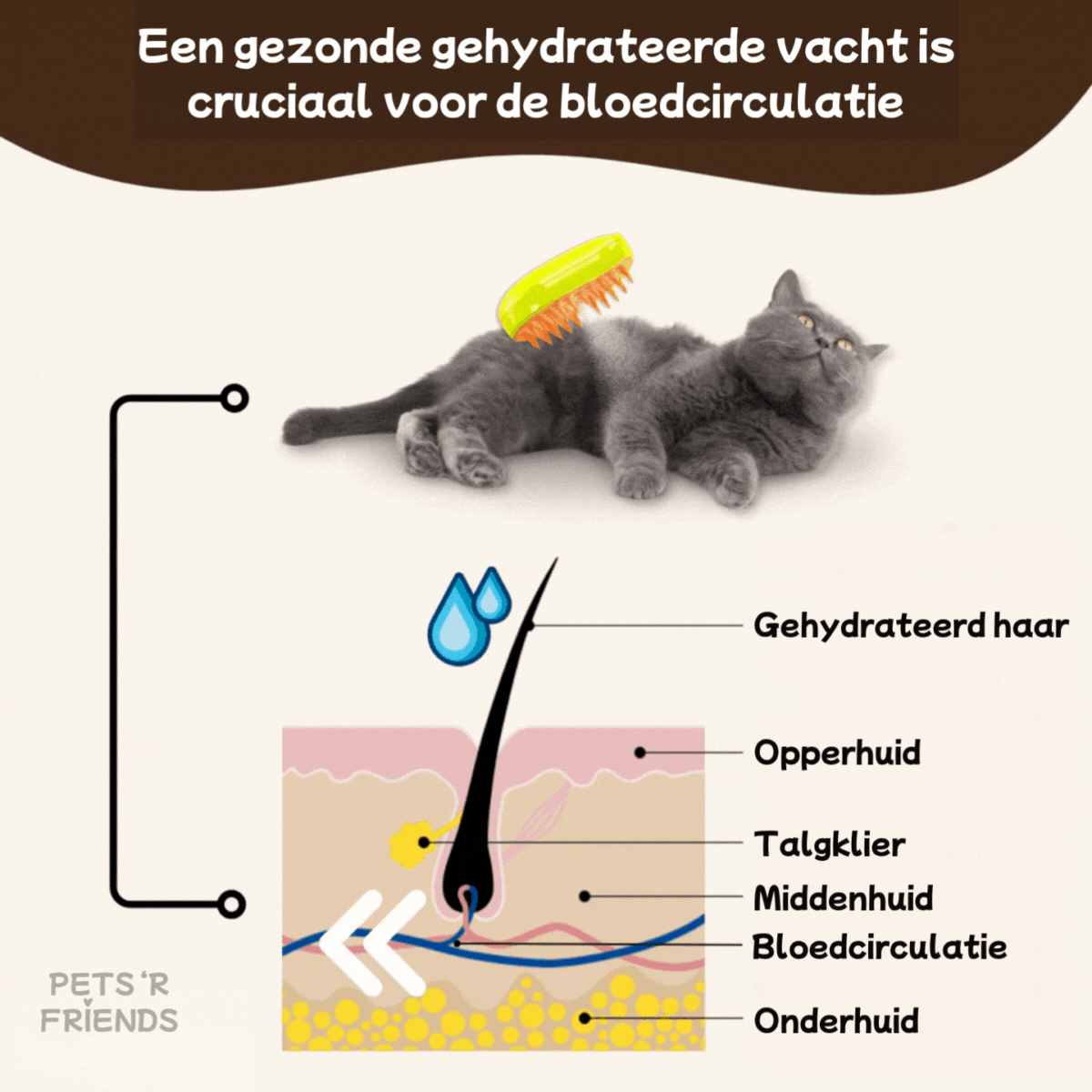 Groomzy™ - Moeiteloos en stressvrij borstelen
