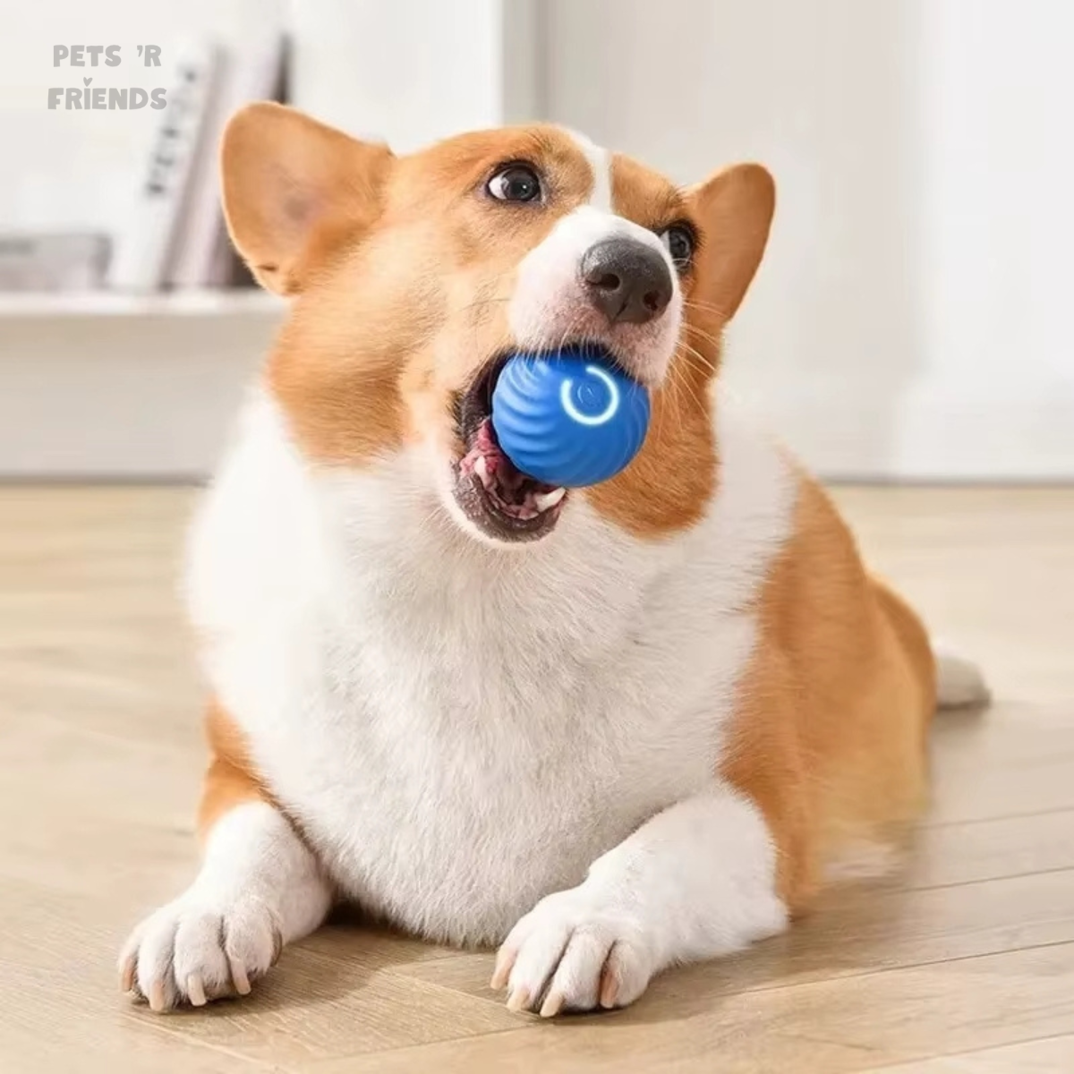 ZoomiBall™ – De slimme speelbal die helpt tegen verveling