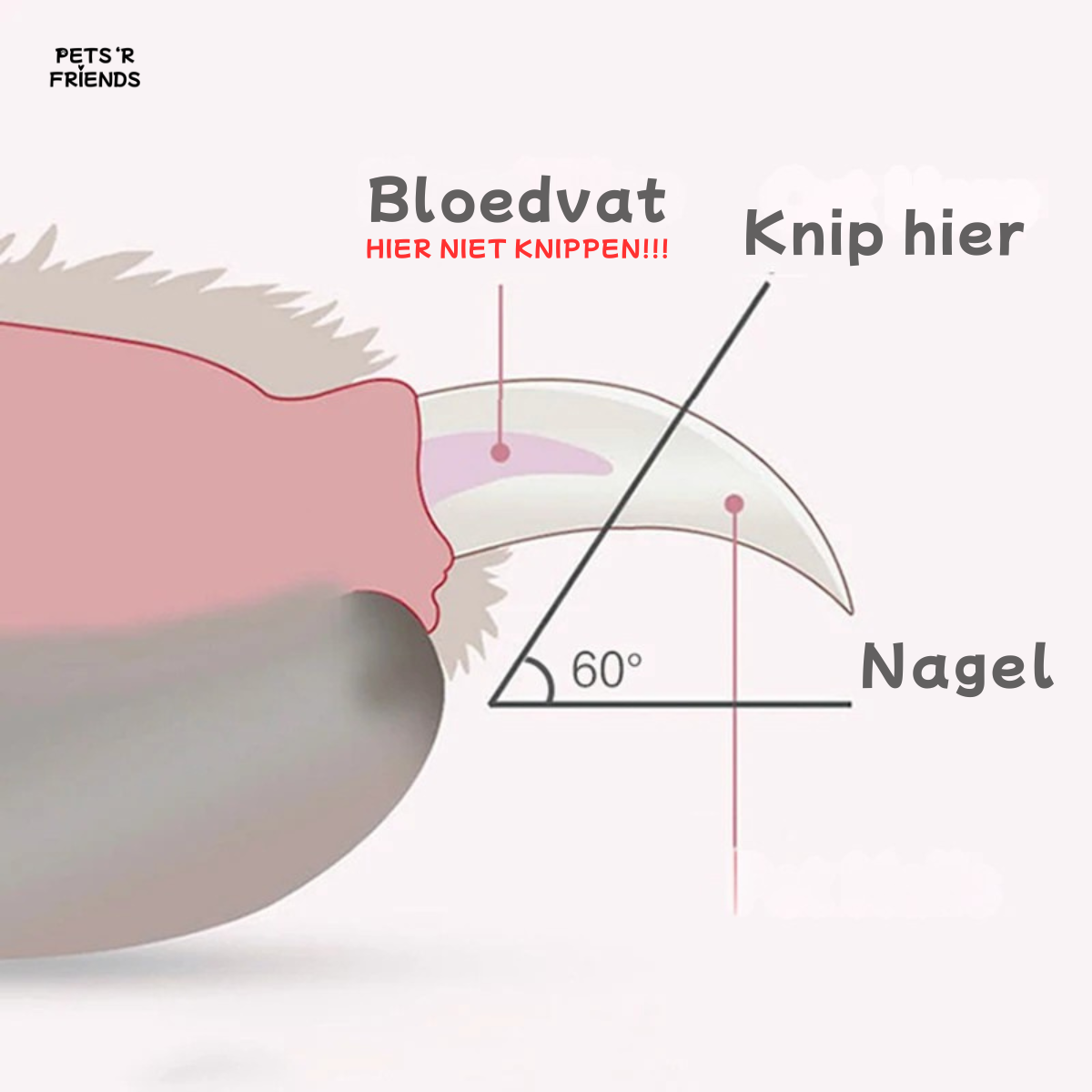 Clippy™ - Knip de nagels van jouw huisdier zonder angst