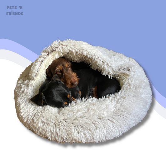 FurryCloud™ - Het Ultieme Knusse Plekje voor Jouw Huisdier!