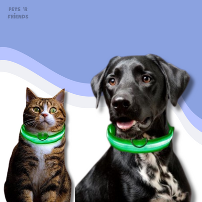 GlowGuard™ LED Halsband – Laat je Hond of Kat Altijd en Overal Opvallen!