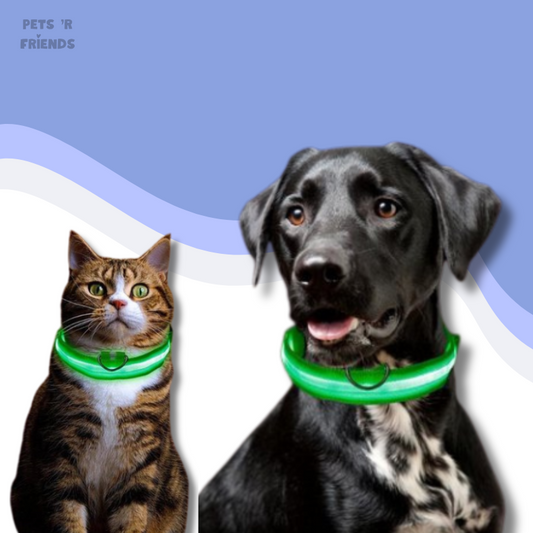 GlowGuard™ LED Halsband – Laat je Hond of Kat Altijd en Overal Opvallen!