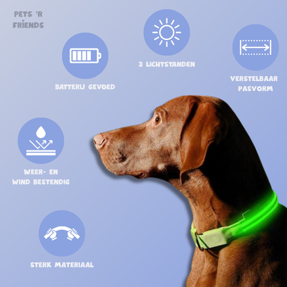 GlowGuard™ LED Halsband – Laat je Hond of Kat Altijd en Overal Opvallen!