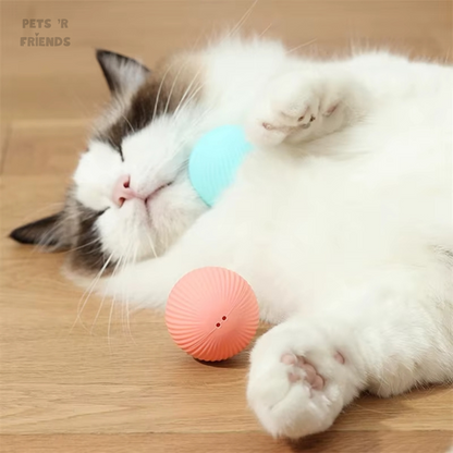 ZoomiBall™ – De slimme speelbal die helpt tegen verveling