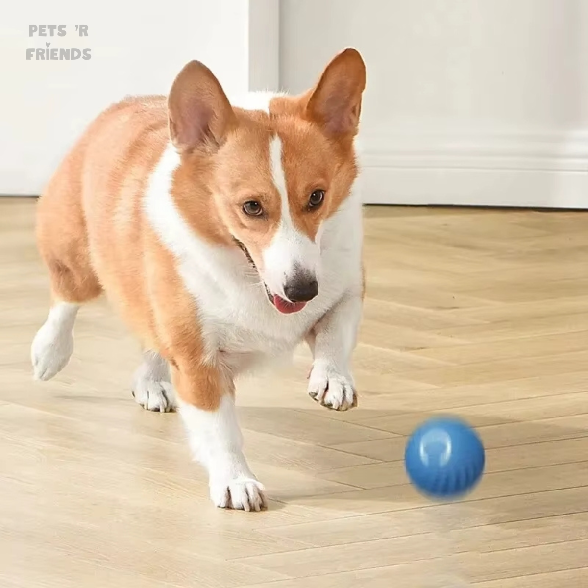 ZoomiBall™ – De slimme speelbal die helpt tegen verveling