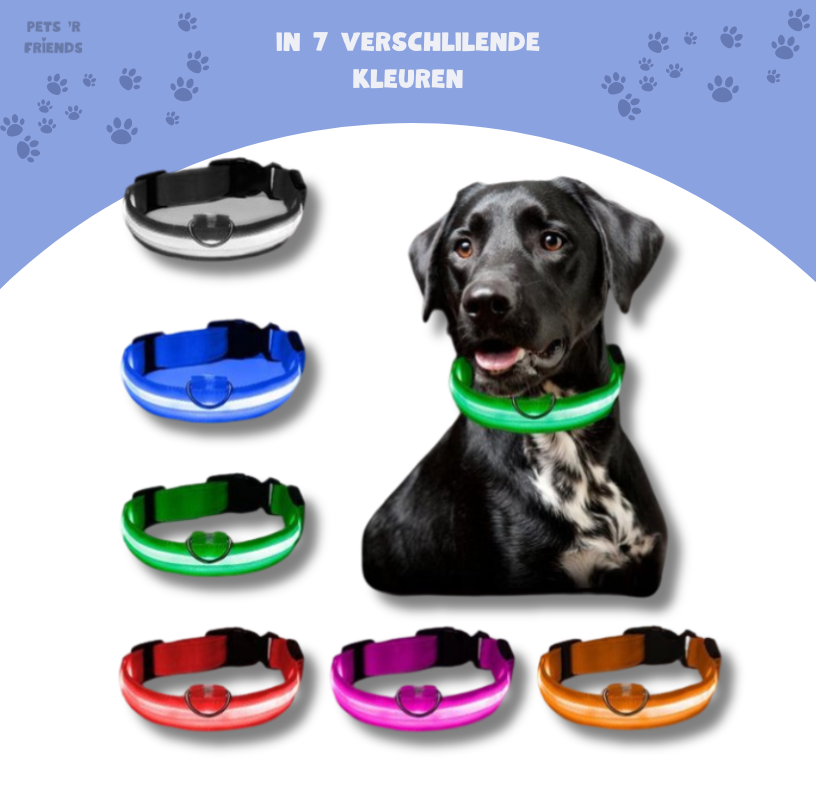GlowGuard™ LED Halsband – Laat je Hond of Kat Altijd en Overal Opvallen!