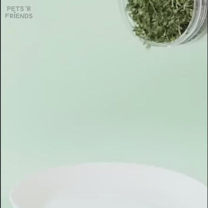 CatNip™ - Het 100% biologische kattenkruid